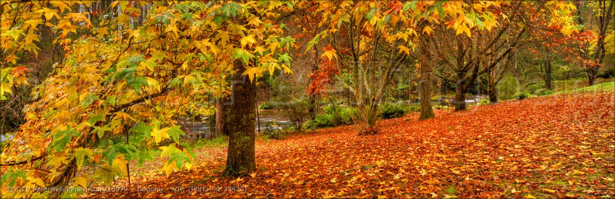 Peter Bellingham Photography Bogong - VIC (PBH3 00 34420)